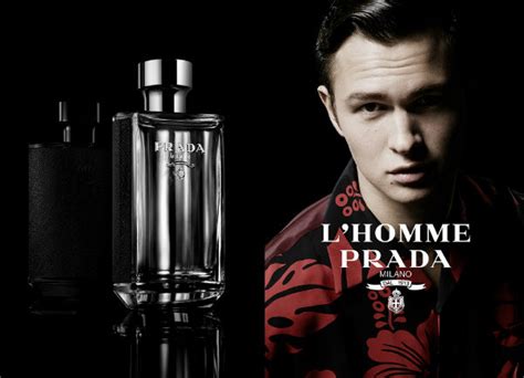 l'homme prada toilet.